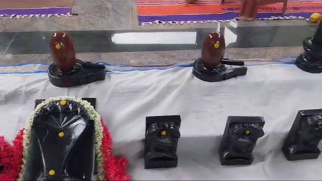 ЯТРАХ ДХАРМА ТАТРА ДЖАЙЯ. УСТАНОВКА НАГА ЛИНГАМОВ В ШИВА - ВИШНУ ТЕМПЛЕ. ЧИТТУР. ИНДИЯ