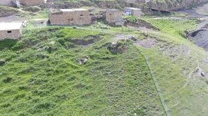 Аргвани,  территория под саженцы.