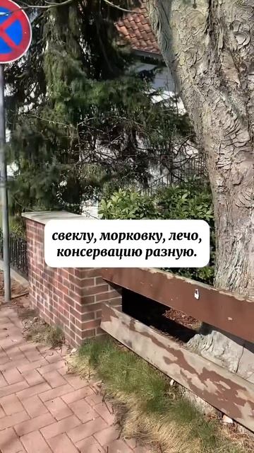 Сыновья приезжают только осенью… когда урожай собран смотреть онлайн