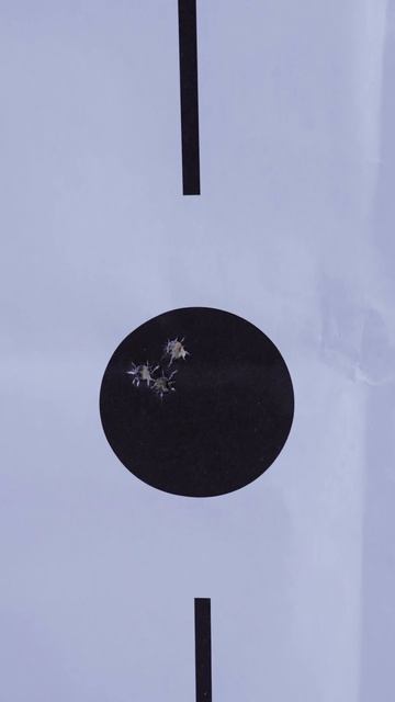 Сами в шоке! Карабин Лось на 100 метров в полминуты! смотреть онлайн