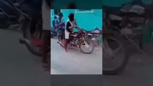 Прикольные видео смотреть онлайн