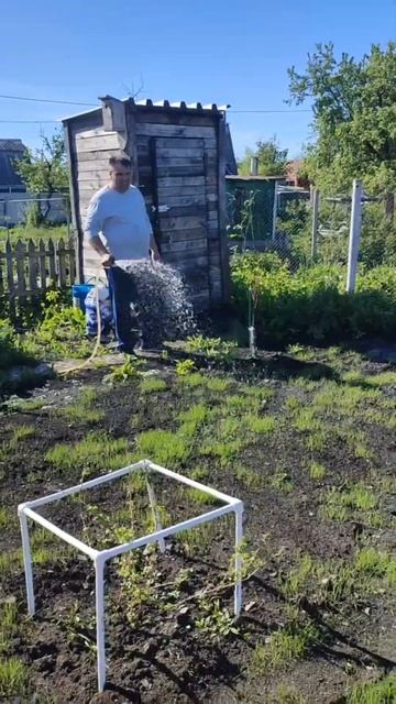 Что делать с проплешинами? Зарастёт со временем? #весн? смотреть онлайн