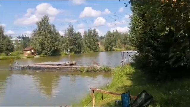 Светлые Горы. Карп 10.07.2024