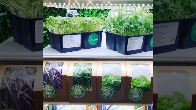 Микрозелень. Наборы для выращивания. #зож #набор #пп #ор смотреть онлайн