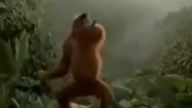 А вот и СУББОТА!))) смотреть онлайн