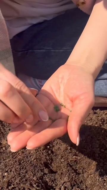 Хотите вырастить аккуратный и сочный редис без лишних хлопот? смотреть онлайн