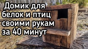 Дуплянка, домик для белок и птиц своими руками за 40 минут на даче.