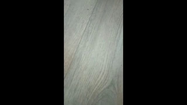 обзор бокса на 1-сентября.