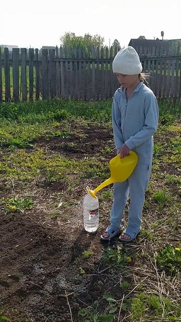 мои грядочки #огород #грядка #лейка смотреть онлайн