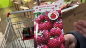 ЭТИ СОРТА КЛУБНИКИ МЕНЯ ПОКОРИЛИ!