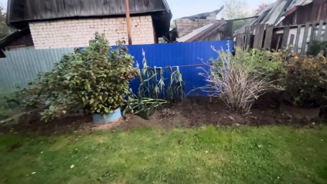 25 сентября. ШОК!!! ВСЁ ЗАМЕРЗЛО 😢. ЧТО ДЕЛАТЬ? Грядки кт смотреть онлайн