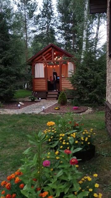 бабушка•дача•лето🌻 #дача #лето #garden #live #forest #верея #? смотреть онлайн