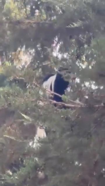 Восхождение на Килиманджаро - 1 день