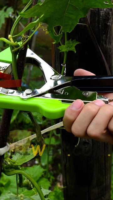 Тапенер. Садовый степлер #обзор #товары #инструменты смотреть онлайн