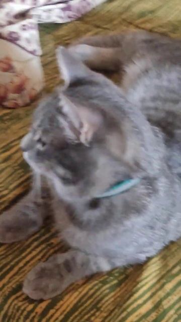 кажется он собирается сажать морковь ☺ смотреть онлайн