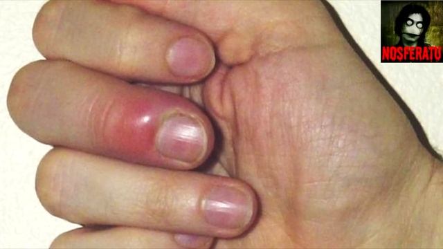 Мёртвые розы. Страшные истории на ночь 🫣🫣🫣 смотреть онлайн