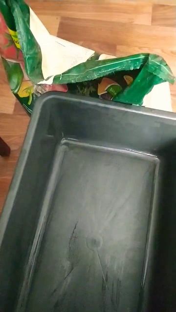 Начинаем Садово - огородные работы 2024. Посадка первых ? смотреть онлайн