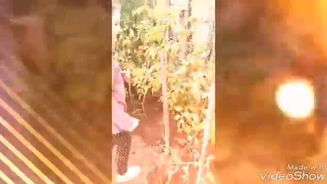 Челендж без рук🖑🖐👅👄👀 смотреть онлайн