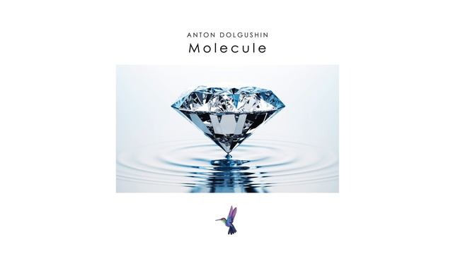 Anton Dolgushin - Molecule