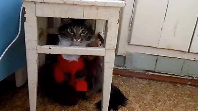 Кот-Мороз под табуреткой смотреть онлайн