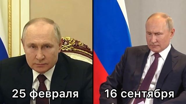 Что приуныл, чмоня? смотреть онлайн