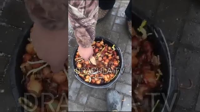 ВЫРАЩИВАНИЕ РЕПЧАТОГО ЛУКА смотреть онлайн