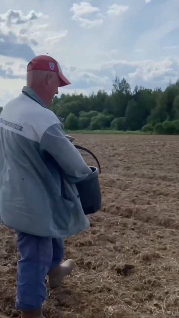 Горчица белая как сидерат. Больше информации у нас в В?