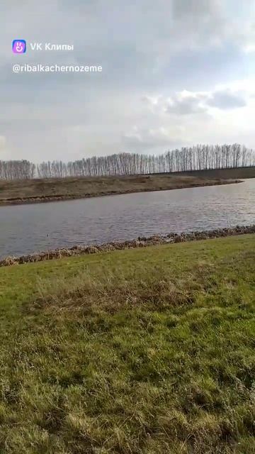 Весна, красота =) #рыбалка #черноземье #рыбалкачернозем