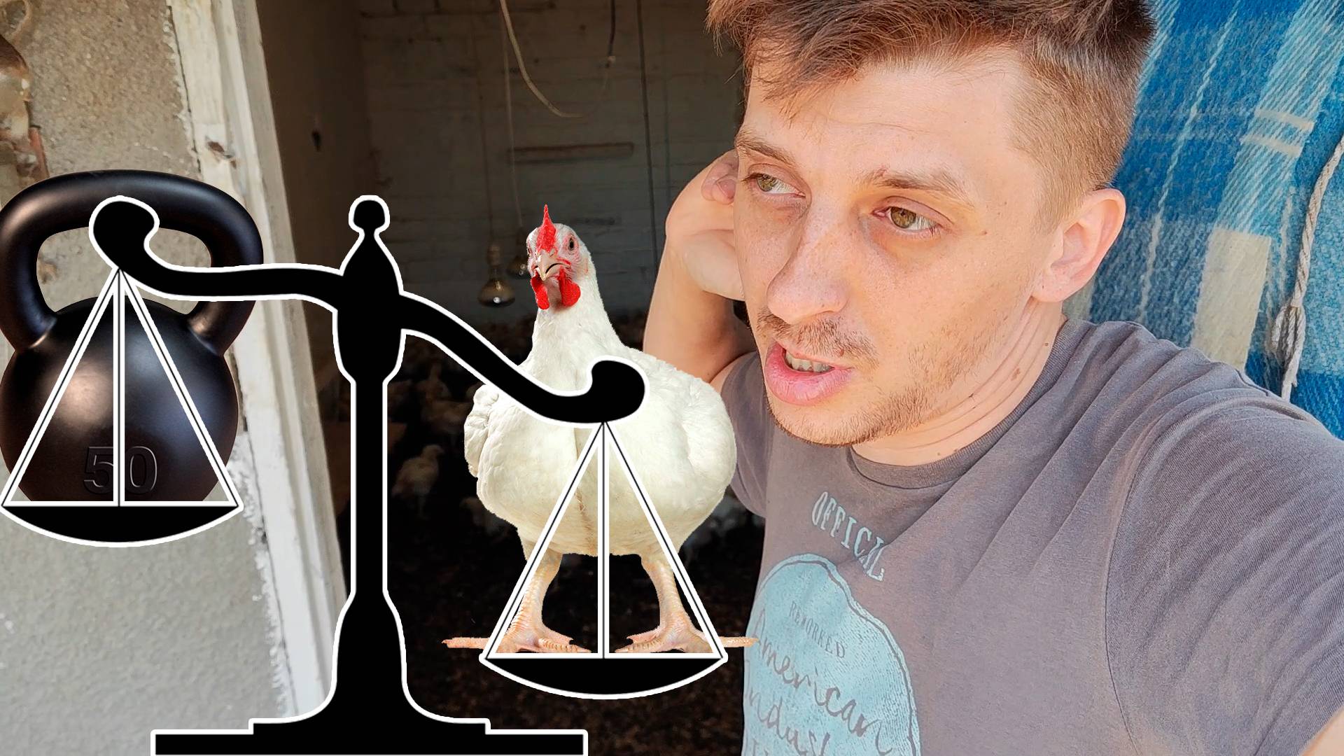 Вес бройлеров и перепёлок по дням – реальные цифры в моём хозяйстве! смотреть онлайн