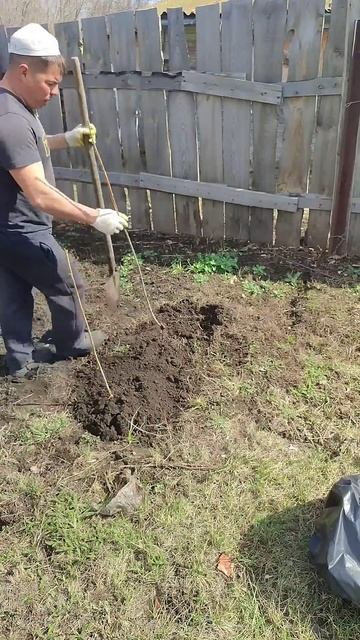 сажаем кустарники смотреть онлайн