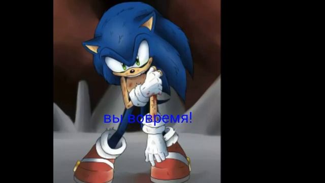 Любовь Эми и Соника 13 серия