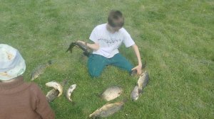 Обзор улова. карп, карась. Рыбалка в Клевом месте