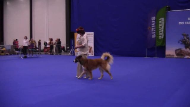 Кольцова Вера и Метис Тося - Открытый-НТМ