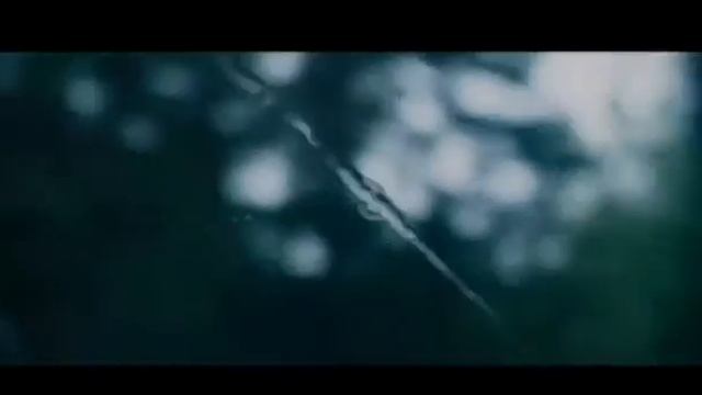 Я верю в тебя🌿