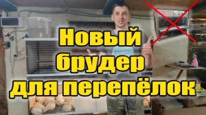 Мой новый брудер для перепелов со съемным полом!