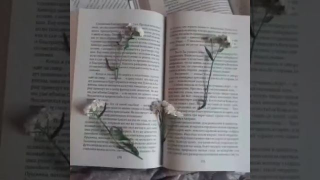 Летние и простые идеи для фото в Instagram! Ardana in the Mars смотреть онлайн