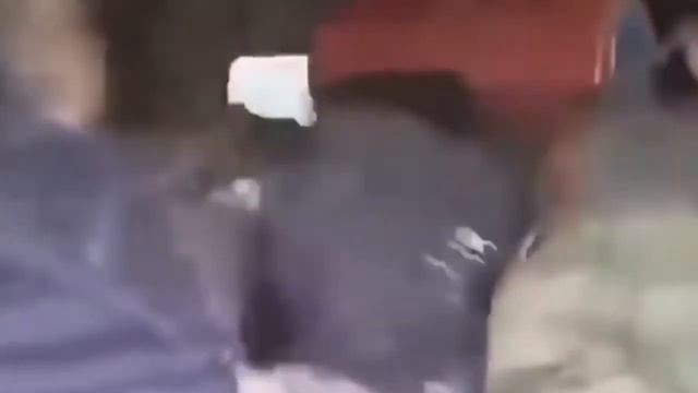 COUB лучшее новые видео приколы смотреть онлайн