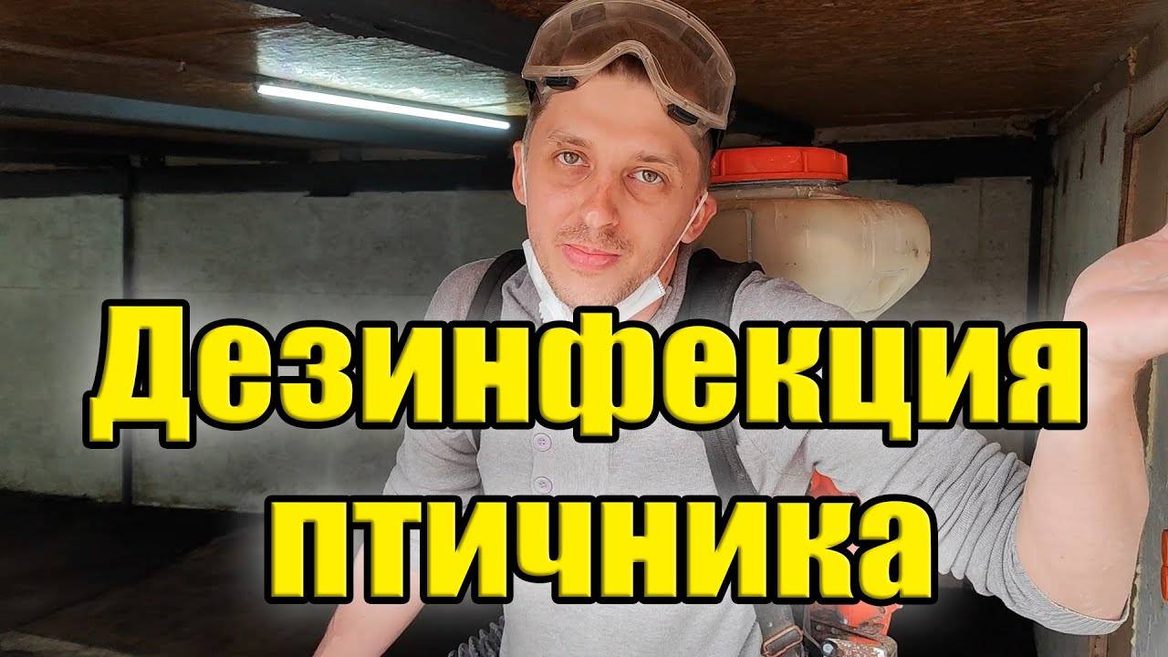 Дезинфекция птичника / Новый дом для перепёлок смотреть онлайн