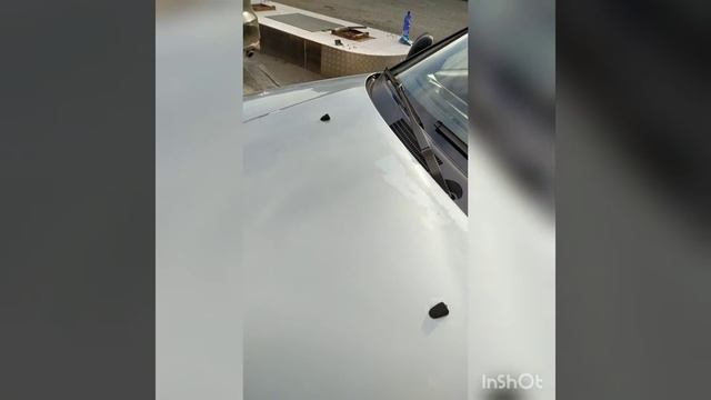 12 октября 2021 г.