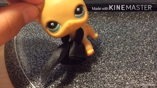 Новости! да да я сняла видео верьте мне.....