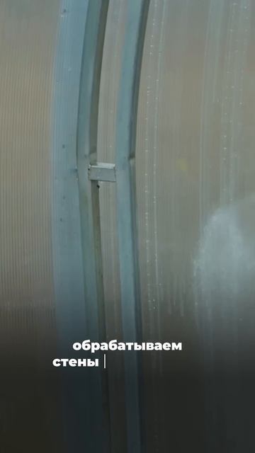 🌿 Как правильно подготовить теплицу к новому сезону?