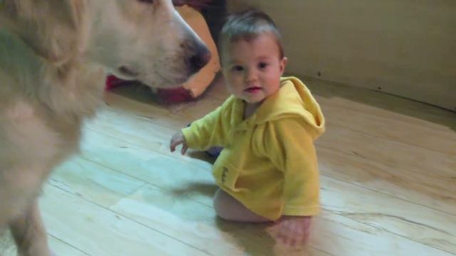 Лягушонок-иноходец смотреть онлайн