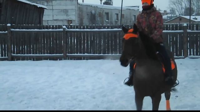 ЭТО НЕ ЛОШАДЬ, ЭТО БЕДА.. Конный видео клип / Это не женщина, это беда смотреть онлайн