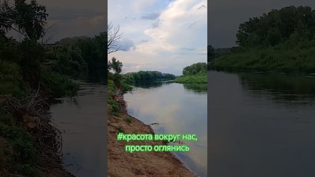 #природа #лето #лето2024 #лес #матушказемля #вечер #травы # смотреть онлайн