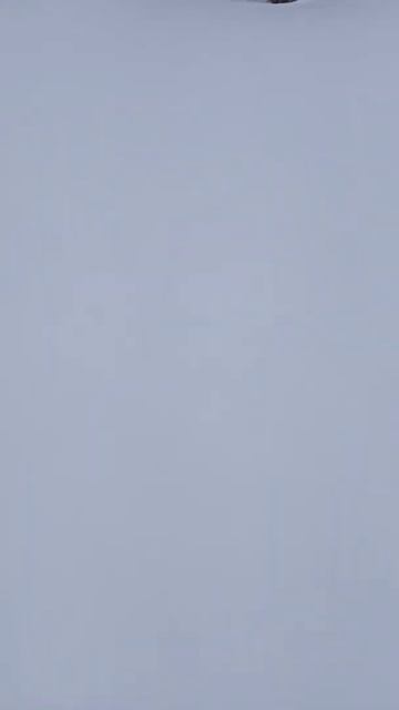 как им верить и доверять