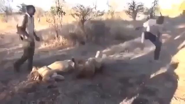 Она всего лишь чихнула смотреть онлайн