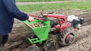 Посадка картофеля картофелесажалкой мотоблоком МТЗ-09