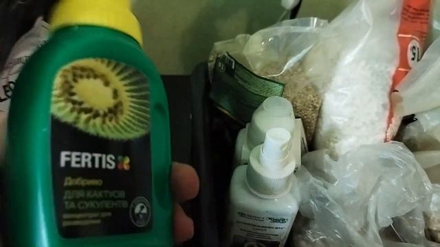Уход за кактусами. Мой "Садовый" инвентарь. Кактусы и с? смотреть онлайн