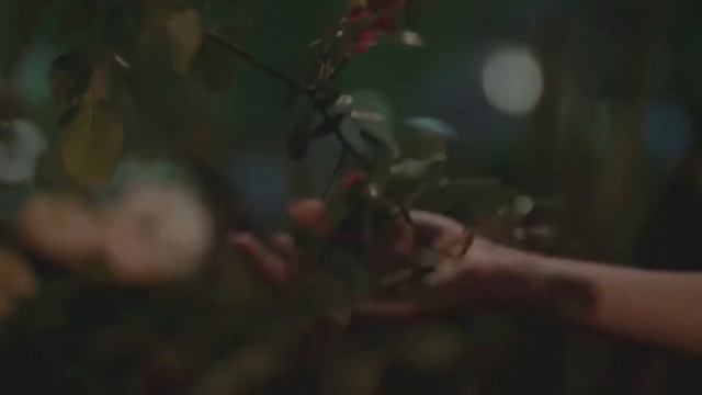 Мой чужой муж Буктрейлер Екатерина Ромеро