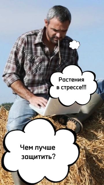 Как «вытянуть» озимый ячмень после плохой перезимовк? смотреть онлайн